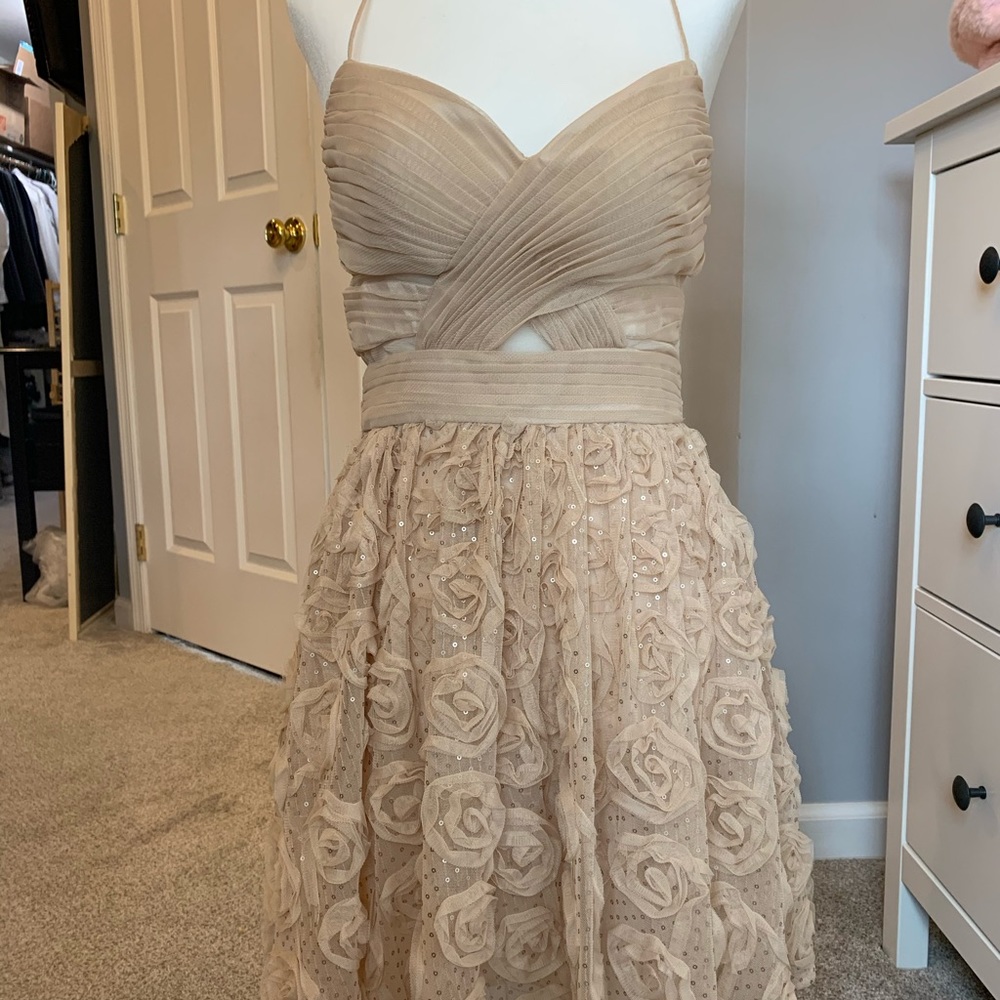 Arden B. Tan Dress